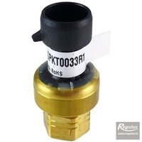 Regulus Čidlo vysokého tlaku pro EP 400 - 17914