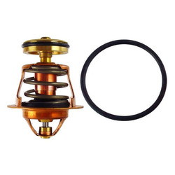 Regulus Termočlen s kuželkou pro ventil TSV5BMF 6/4"M